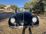 1954 Volkswagen Kever oldtimer te koop