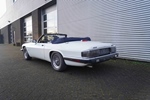 1992 Jaguar XJS oldtimer te koop
