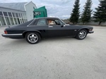 1984 Jaguar XJS oldtimer te koop