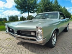 1967 Pontiac GTO V8 oldtimer te koop