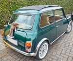 1995 Mini rover oldtimer te koop