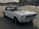 1965 Ford Mustang oldtimer te koop