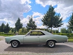 1967 Pontiac GTO V8 oldtimer te koop