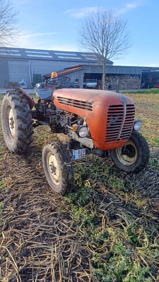 1964 Steyr 188 oldtimer tractor te koop