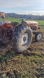 1964 Steyr 188 oldtimer tractor te koop