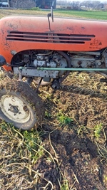 1964 Steyr 188 oldtimer tractor te koop