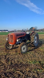 1964 Steyr 188 oldtimer tractor te koop