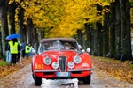 1954 Jaguar XK120 oldtimer te koop