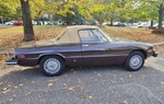 1981 Alfa Romeo Spider 2000 Veloce series 2 oldtimer te koop