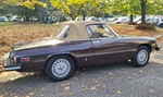 1981 Alfa Romeo Spider 2000 Veloce series 2 oldtimer te koop