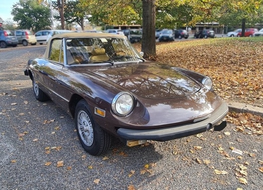 1981 Alfa Romeo Spider 2000 Veloce series 2 oldtimer te koop
