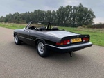 1986 Alfa Romeo Spider oldtimer te koop