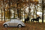 1954 Volkswagen Kever oldtimer te koop