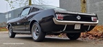 1965 Ford Mustang Fastback oldtimer te koop