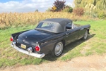 1955 Ford Thunderbird oldtimer te koop