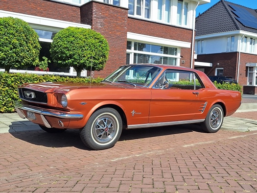 1966 Ford Mustang oldtimer te koop