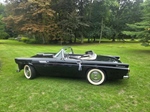 1955 Ford Thunderbird oldtimer te koop