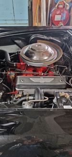 1955 Ford Thunderbird oldtimer te koop