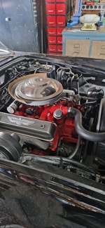 1955 Ford Thunderbird oldtimer te koop