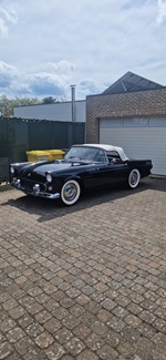 1955 Ford Thunderbird oldtimer te koop