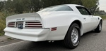 1977 Pontiac Firebird oldtimer te koop