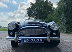 1962 Austin-Healey 3000 MKII oldtimer te koop