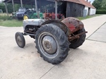 1955 Massey Ferguson MF TEF Diesel oldtimer tractor te koop