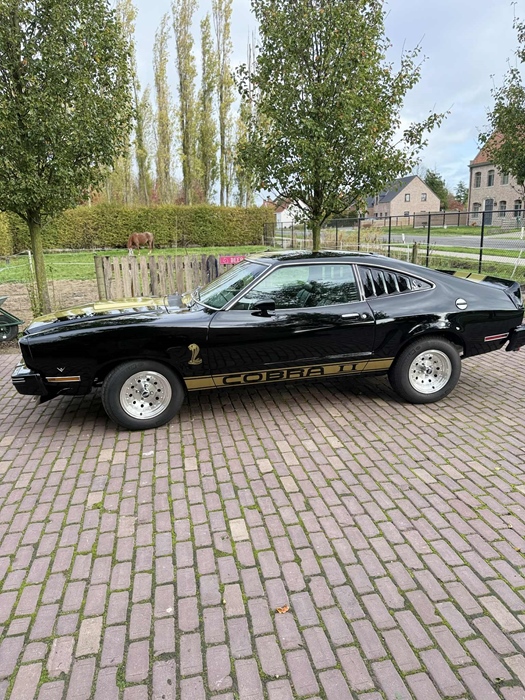 1977 Ford Mustang  oldtimer te koop