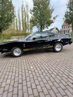 1977 Ford Mustang  oldtimer te koop