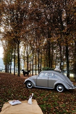 1954 Volkswagen Kever oldtimer te koop