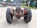 1955 Massey Ferguson MF TEF Diesel oldtimer tractor te koop