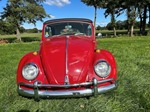 1965 Volkswagen kever cabrio oldtimer te koop