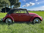 1965 Volkswagen kever cabrio oldtimer te koop