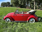 1965 Volkswagen kever cabrio oldtimer te koop