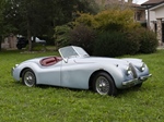 1953 Jaguar XK120 oldtimer te koop