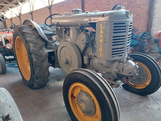 1955 Landini L55 oldtimer tractor te koop
