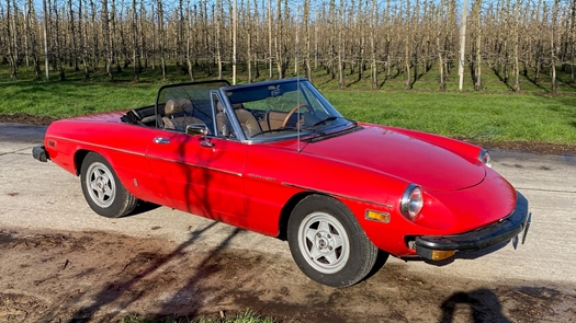 1982 Alfa Romeo Spider Veloce (coda Tronca)  oldtimer te koop