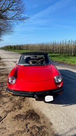 1982 Alfa Romeo Spider Veloce (coda Tronca)  oldtimer te koop