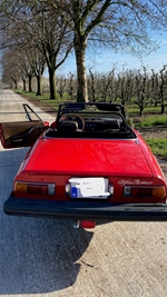 1982 Alfa Romeo Spider Veloce (coda Tronca)  oldtimer te koop