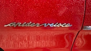 1982 Alfa Romeo Spider Veloce (coda Tronca)  oldtimer te koop