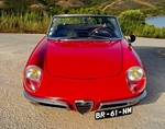 1967 Alfa Romeo Spider 1600 Duetto "Osso di Seppia" oldtimer te koop
