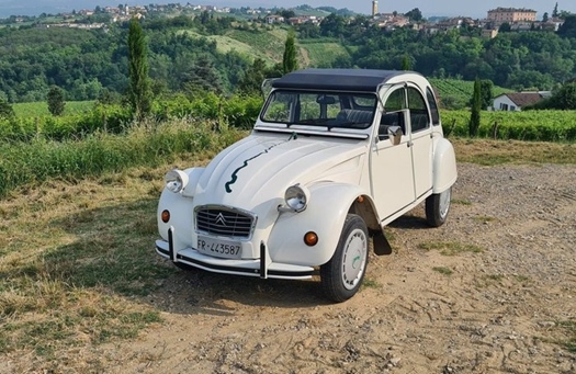 1989 Citroën 2 CV "Perrier" oldtimer te koop