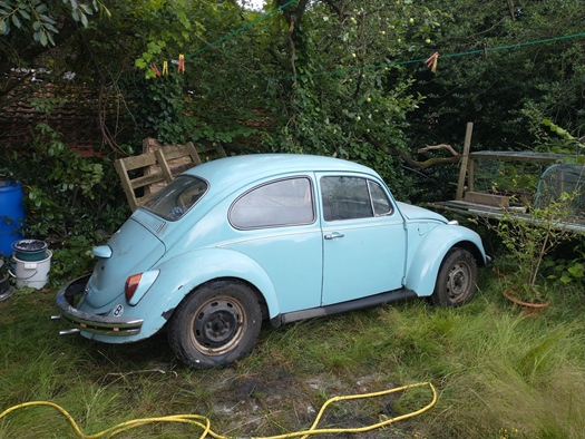 1967 Volkswagen Kever oldtimer te koop