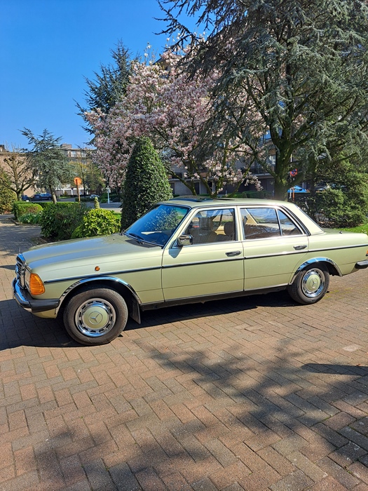 1982 Mercedes 123W oldtimer te koop