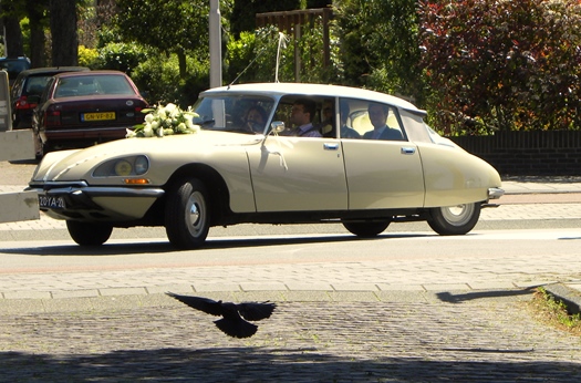 1974 Citroën DS DSpécial oldtimer te koop