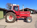 1983 International 1255XL Diesel 2wd oldtimer tractor te koop