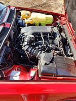 1984 Alfa Romeo GTV6 oldtimer te koop