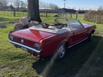 1966 Ford Mustang oldtimer te koop