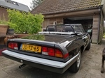 1989 Alfa Romeo Spider aerodynamica oldtimer te koop