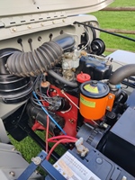 1956 Willys CJ3B oldtimer te koop